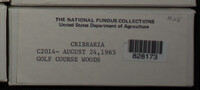 Image Associated With the Occurence